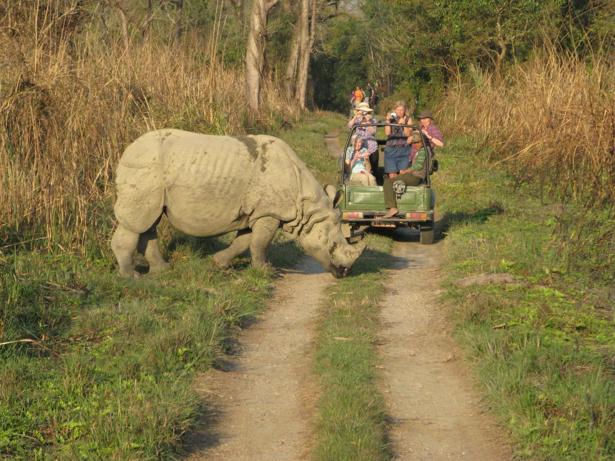 Rhino Land Jungle Lodge ソーラハ エクステリア 写真
